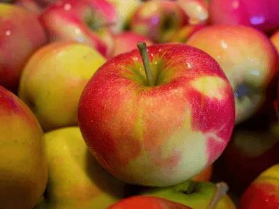 Джефферсон Томас - Ученые заявили, что яблочная кожура содержит лекарство от рассеянного склероза - live24.ru - США
