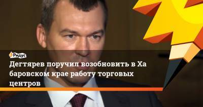 Михаил Дегтярев - Дегтярев поручил возобновить вХабаровском крае работу торговых центров - ridus.ru - Хабаровский край