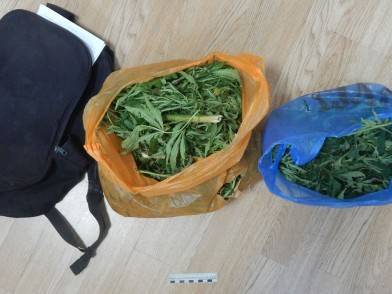 Парня с двумя пакетами марихуаны задержали в Липецкой области - lipetskmedia.ru - Липецкая обл. - район Усманский