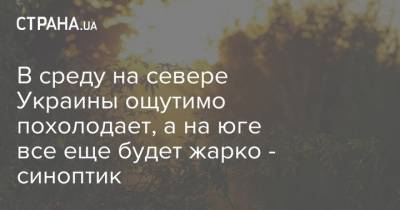 Наталья Диденко - В среду на севере Украины ощутимо похолодает, а на юге все еще будет жарко - синоптик - strana.ua - Украина