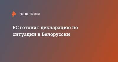 Александр Лукашенко - Жозеп Боррель - Светлана Тихановская - ЕС готовит декларацию по ситуации в Белоруссии - ren.tv - Белоруссия - Минск