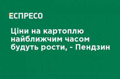 Олег Пендзин - Цены на картофель в ближайшее время будут расти, - Пендзин - ru.espreso.tv