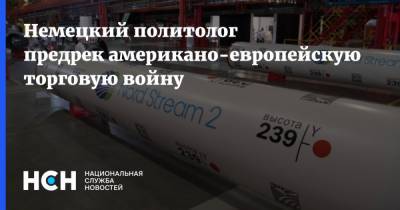 Александр Рар - Немецкий политолог предрек американо-европейскую торговую войну - nsn.fm - США - Германия