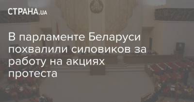 В парламенте Беларуси похвалили силовиков за работу на акциях протеста - strana.ua - Белоруссия - Парламент