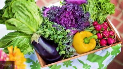 Фестивали фермерской продукции пройдут в городе Иваново - newinform.com - Иваново