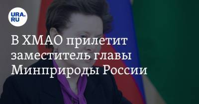 Наталья Комарова - Сергей Аноприенко - В ХМАО прилетит заместитель главы Минприроды России - ura.news - Россия - Югра