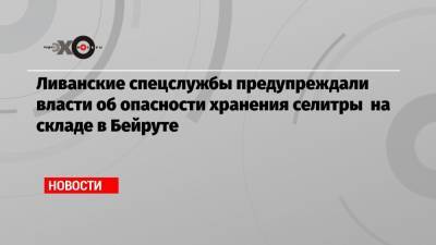 Ливанские спецслужбы предупреждали власти об опасности хранения селитры на складе в Бейруте - echo.msk.ru - Ливан - Бейрут - Бейрут