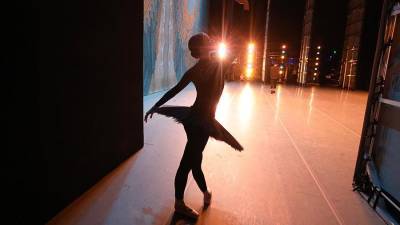 Валерий Гергиев - В Мариинке у нескольких артистов балета выявили коронавирус - iz.ru