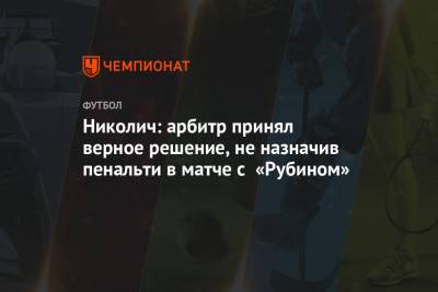 Марко Николич - Николич: арбитр принял верное решение, не назначив пенальти в матче с «Рубином» - championat.com - Москва - Казань