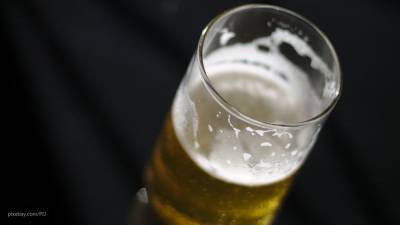 Берлинские ученые нашли у пива способность снижать ломкость костей - newinform.com