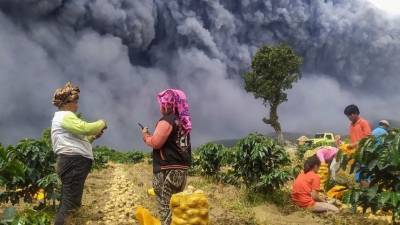 Видео: вулкан в Индонезии выбросил столб пепла высотой пять километров - 5-tv.ru - Индонезия - Jakarta