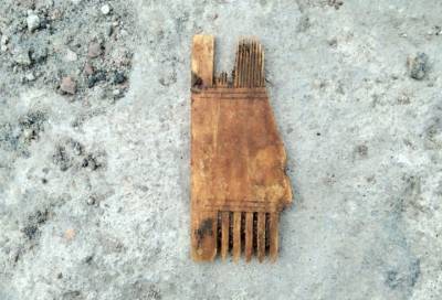 Владимир Цой - Археологи нашли старинный костяной гребень в Выборге - online47.ru - Выборг