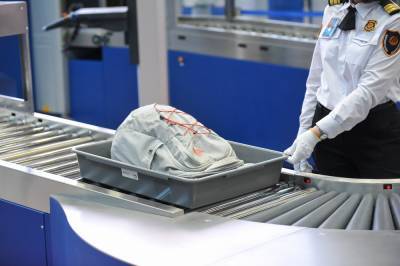 Royal Flight - Российские авиакомпании ввели ограничения по ручной клади на рейсах в Турцию - vm.ru - Россия - Турция