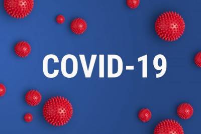 Марина Эзугбая - Статистика Covid-19 в Грузии: 14 заболевших и четыре выздоровевших - eadaily.com - Грузия - Афганистан - Тбилиси