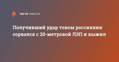 Получивший удар током россиянин сорвался с 20-метровой ЛЭП и выжил - ren.tv - Москва - Новосибирск