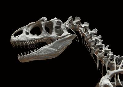 У берегов Великобритании обнаружены останки нового вида динозавров - live24.ru - Англия