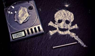 В Нидерландах «накрыли» крупнейшую кокаиновую «прачечную» - mirnov.ru - Голландия - Амстердам