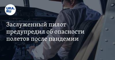 Юрий Сытник - Заслуженный пилот предупредил об опасности полетов после пандемии - ura.news - Россия