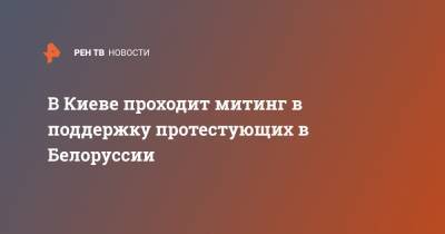 Владимир Зеленский - Александр Лукашенко - Светлана Тихановская - В Киеве проходит митинг в поддержку протестующих в Белоруссии - ren.tv - Украина - Киев - Белоруссия - Минск