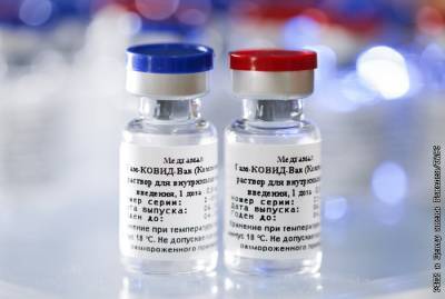 Российская вакцина от коронавируса появится в Латинской Америке - interfax.ru - Москва - Россия - Бразилия - Brazil