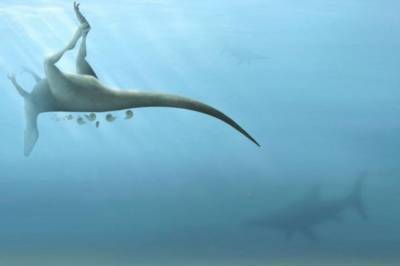 В Великобритании ученые нашли останки ранее неизвестного динозавра - vkcyprus.com - Украина - Англия