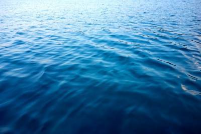 Ученые обнаружили на дне моря "невозможные" организмы - Cursorinfo: главные новости Израиля - cursorinfo.co.il - Израиль