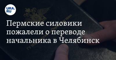 Михаил Давыдов - Пермские силовики пожалели о переводе начальника в Челябинск. Все о новом замглавы ГУ МВД - ura.news - Россия - Челябинск - Пермь - Пермский край