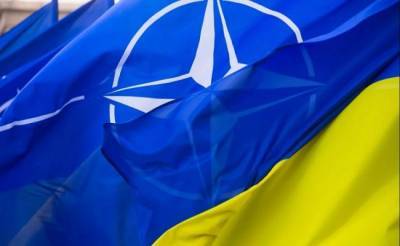 В США эксперты советуют не брать Украину в НАТО - news-front.info - США - Украина - Киев
