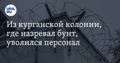 Из курганской колонии, где назревал бунт, уволился персонал - ura.news - Курган