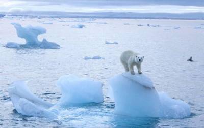 Температура в Арктике поднялась до рекордного уровня - korrespondent.net - Россия - Антарктида - Арктика