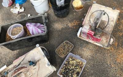 На Ровенщине нашли более 200 кг незаконно добытого янтаря - korrespondent.net - район Сарненский