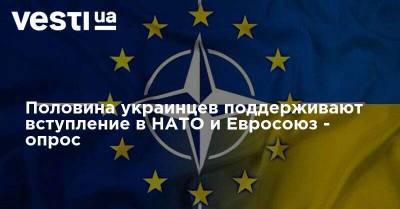 Половина украинцев поддерживают вступление в НАТО и Евросоюз - опрос - vesti.ua - США - Украина
