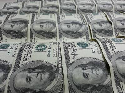 Международные резервы РФ обновили исторический максимум - rosbalt.ru - Россия