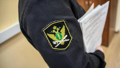 Приставы арестовали имущество завода "Карелия ДСП" - dp.ru - Россия - район Медвежьегорский - республика Карелия