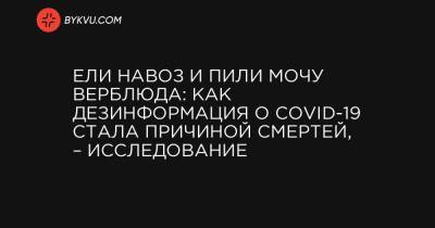 Ели навоз и пили мочу верблюда: как дезинформация о COVID-19 стала причиной смертей, – исследование - bykvu.com - Австралия - Япония - Таиланд