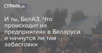 И ты, БелАЗ. Что происходит на предприятиях в Беларуси и начнутся ли там забастовки - strana.ua - Белоруссия