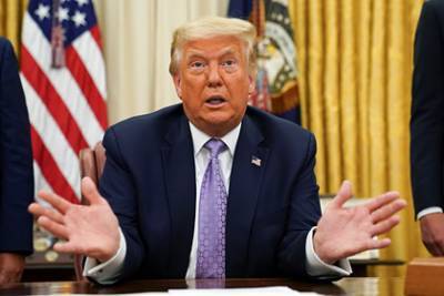 Дональд Трамп - Владимир Путин - Кейли Макинани - Трампу рассказали о российской вакцине от коронавируса - lenta.ru - Россия - США