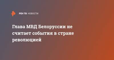 Юрий Караев - Глава МВД Белоруссии не считает события в стране революцией - ren.tv - Белоруссия - Протесты