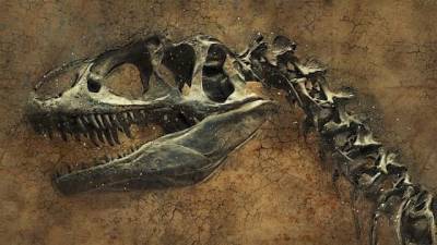 Ученые открыли новый вид динозавров - Cursorinfo: главные новости Израиля - cursorinfo.co.il - Англия - Израиль - Мадагаскар