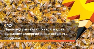 Пчеловод рассказал, какой мед не вызывает аллергии и как избежать подделок - ridus.ru - Россия