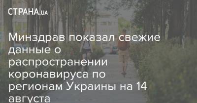 Минздрав показал свежие данные о распространении коронавируса по регионам Украины на 14 августа - strana.ua - Украина - Киев - Запорожская обл. - Ивано-Франковская обл. - Волынская обл. - Кировоградская обл. - Днепропетровская обл. - Винницкая обл. - Житомирская обл. - Закарпатская обл. - Донецкая обл.