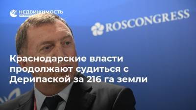 Олег Дерипаска - Краснодарские власти продолжают судиться с Дерипаской за 216 га земли - realty.ria.ru - Москва - Краснодарский край - Краснодар