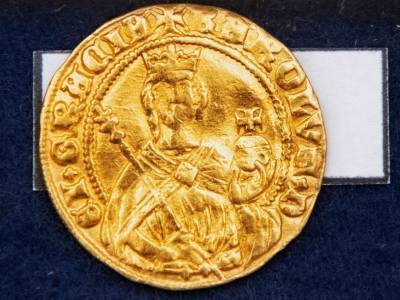 Кабан помог найти клад из золотых и серебряных монет - polit.ru - Германия - Чехия - Римская Империя - Пльзень