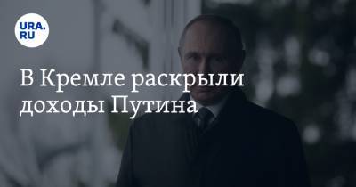 Владимир Путин - В Кремле раскрыли доходы Путина - ura.news - Россия