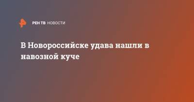 В Новороссийске удава нашли в навозной куче - ren.tv - Новороссийск