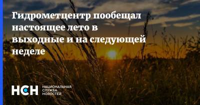 Роман Вильфанд - Марина Макарова - Гидрометцентр пообещал настоящее лето в выходные и на следующей неделе - nsn.fm - Москва - Россия - Московская обл. - окр.Сзфо