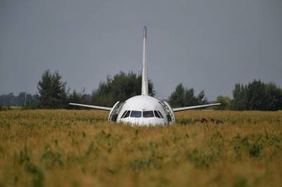Стюардесса поздравила экипаж самолета А321, который год назад сел в кукурузу - vm.ru