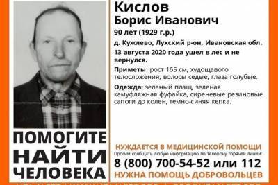 В Ивановской области больше двух суток ищут 90-летнего грибника - mkivanovo.ru - Москва - Нижний Новгород - Кострома - Ивановская обл.