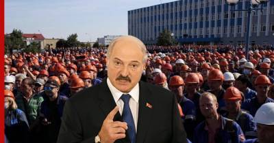 Александр Лукашенко - М.Тополь - Лукашенко встретится с забастовщиками на заводе шасси для «Тополей» - profile.ru - Белоруссия - Минск - Протесты