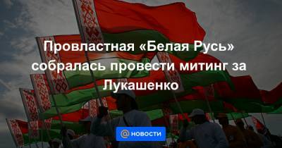 Провластная «Белая Русь» собралась провести митинг за Лукашенко - news.mail.ru - Белоруссия - Русь